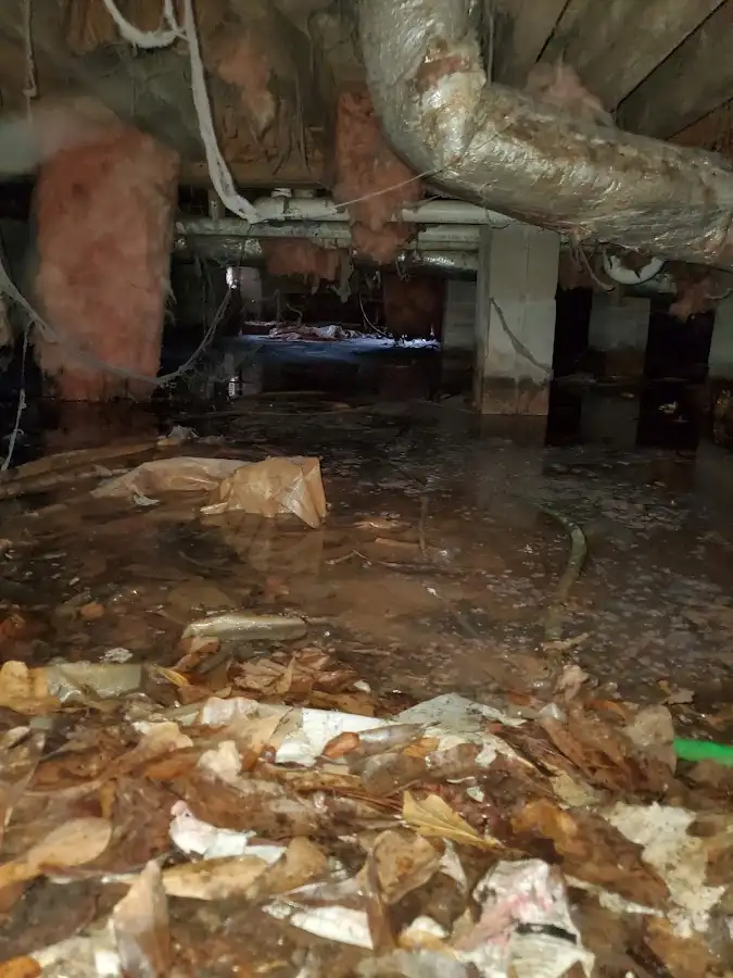 Crawl space flood assessment for Leak Detection & Repair in Dalhart